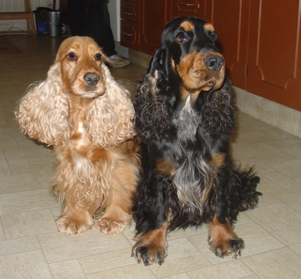 Wilma och Gnidde